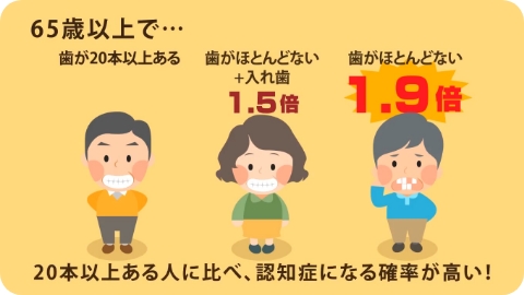 歯の本数と認知症の関係